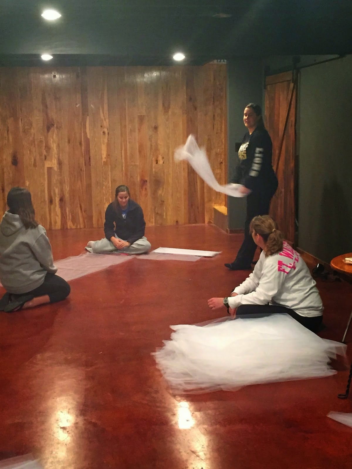 {the graber gab} DIY TULLE BACKDROP FOREVER CALLAHAN